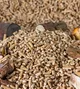 Pellet Olimp