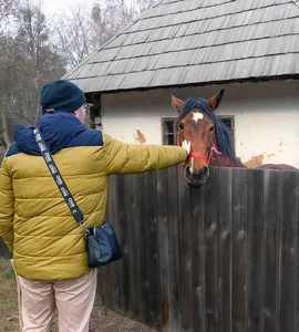 Pellet Dębowy