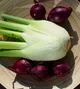 Fennel