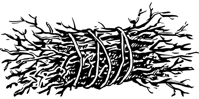 Pellet Olimp