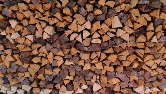 Pellet Olimp