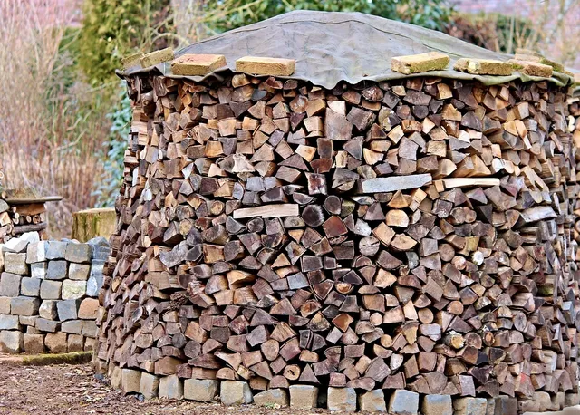Pellet