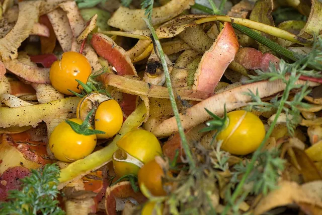 Ziemia z Obornikiem